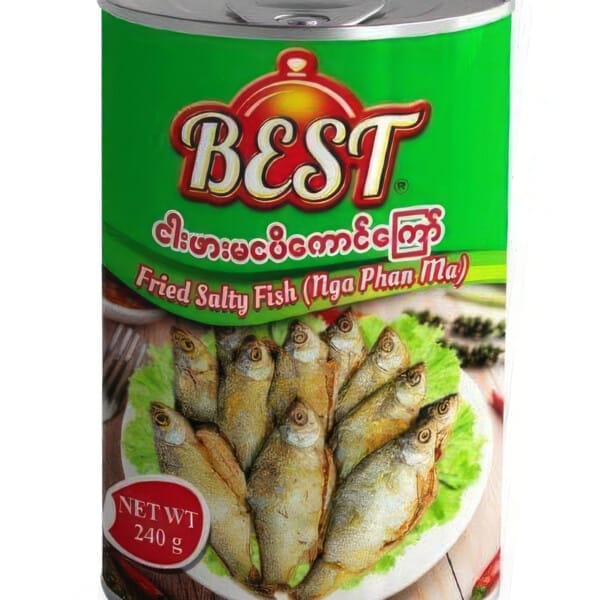 BEST Fried Salty Fish (Nga Phan Ma) ငါးဖားမ ငပိကောင်ကြော် (240g)