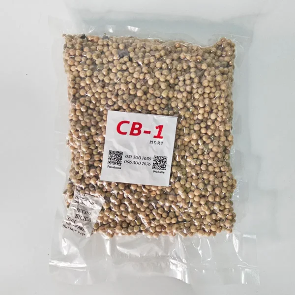 CB1 စ​တော်ပဲစိမ်း